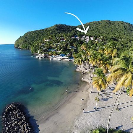 Готель Oasis Marigot Екстер'єр фото